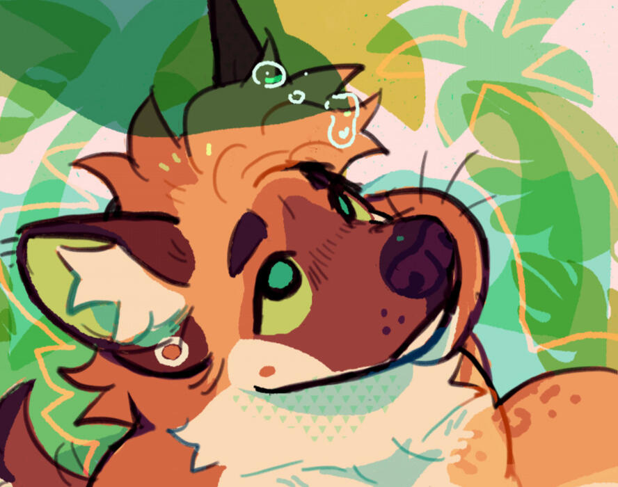 illustrations + more