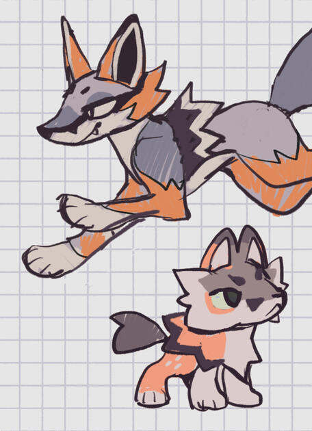Normal type. Early route mammal, based on gray foxes